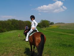 Joan-White-Equestrian-Queen--o5lc0kxgg1.jpg