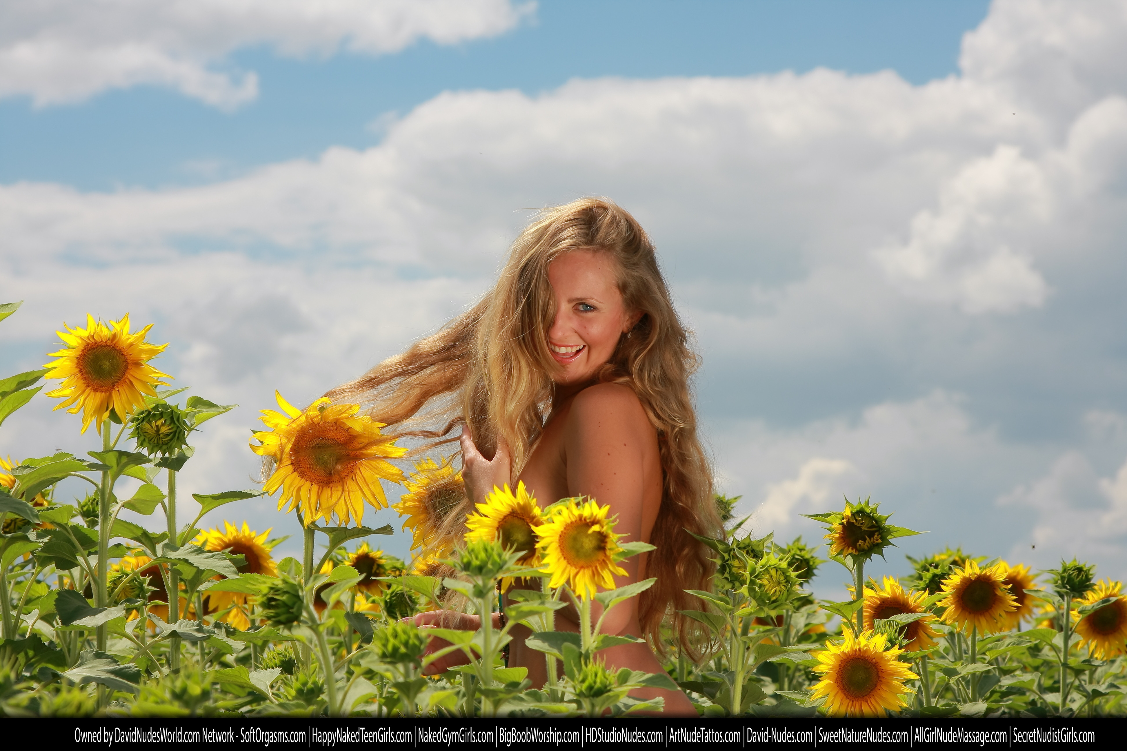 alena sunflowers 8935