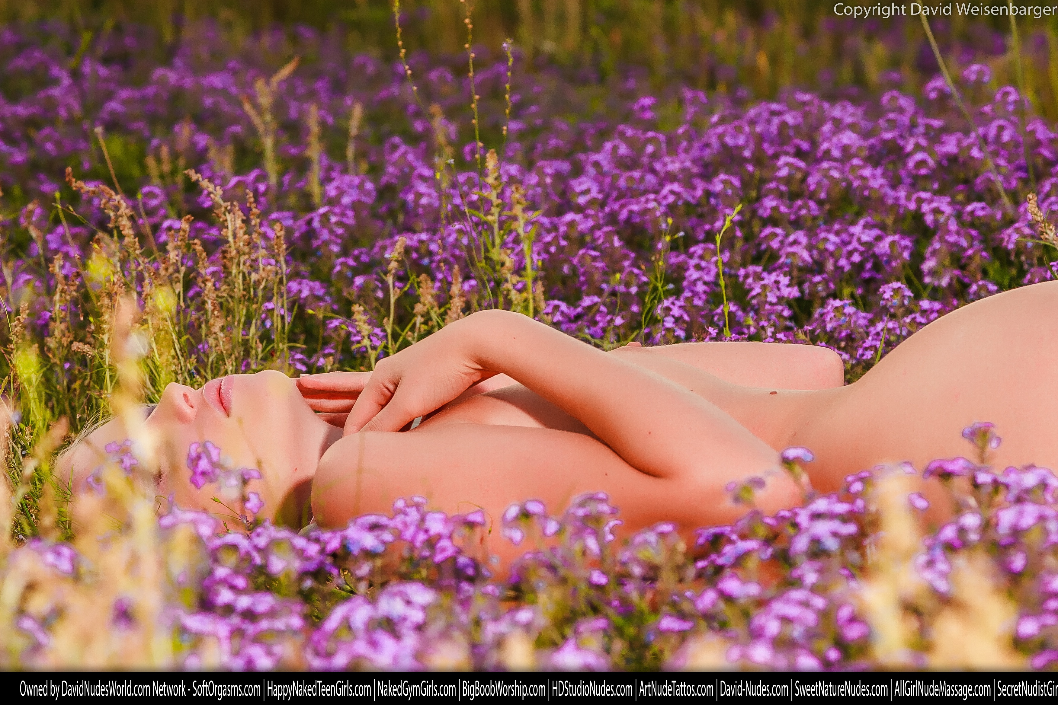 tatyana purpleflowers 3 529