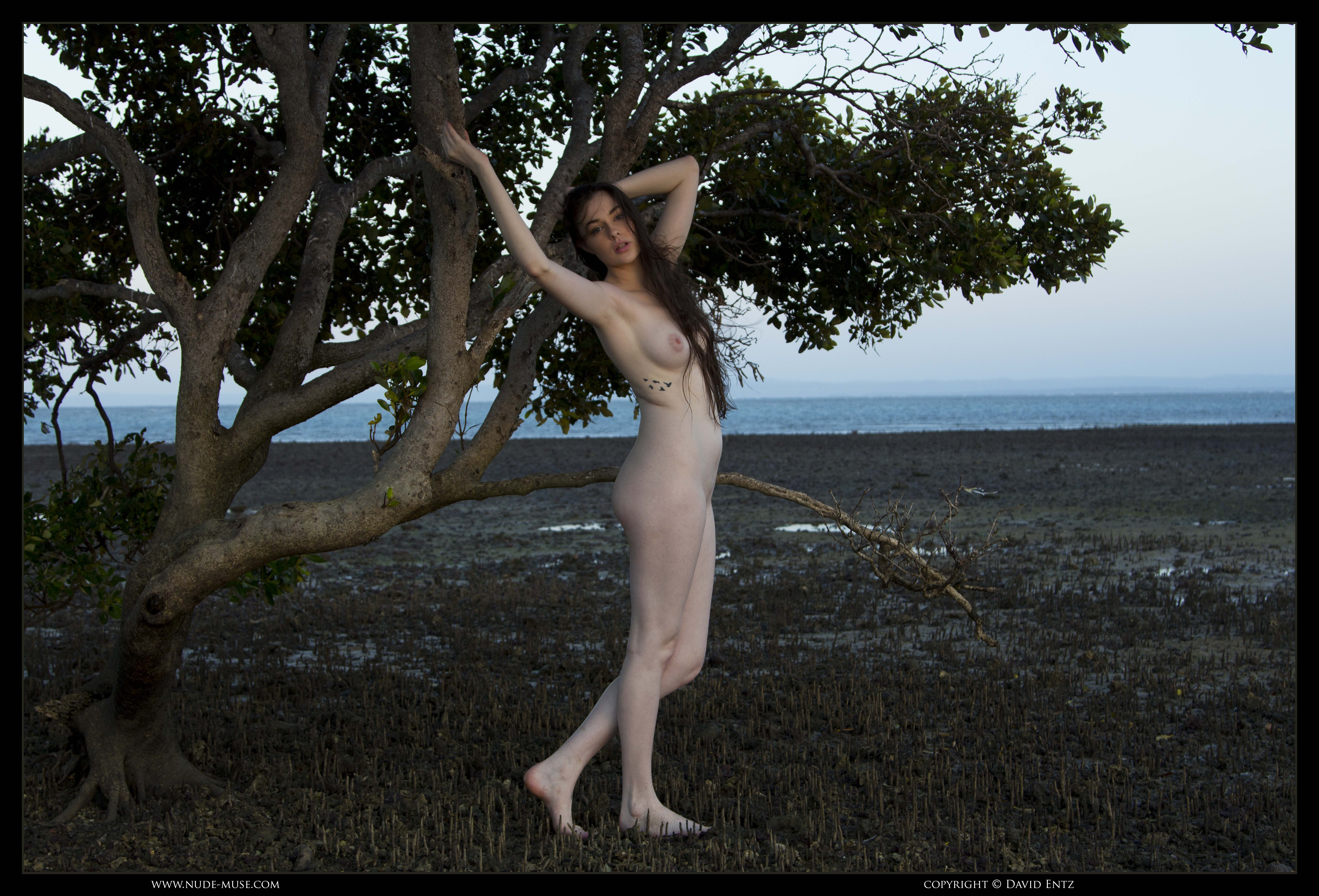 nude muse alex mangrove 054